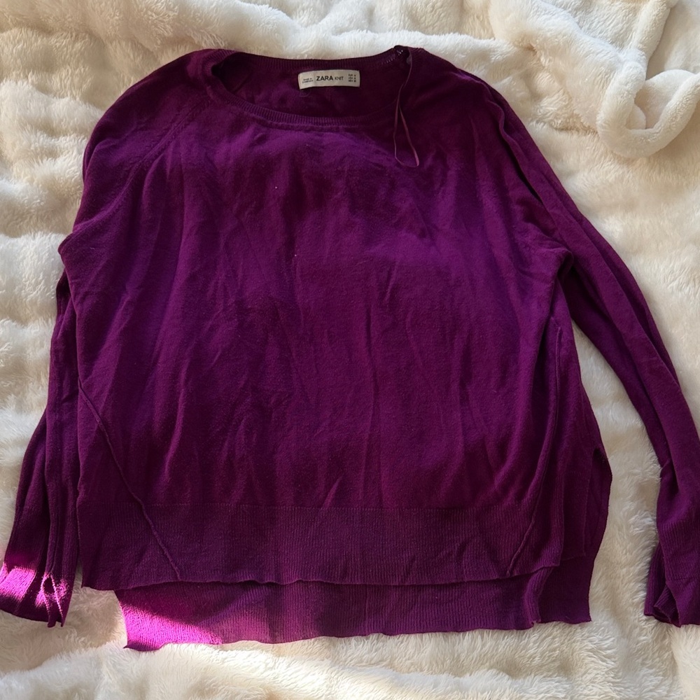 Zara Deep Purple Knit Top